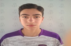 َعلي وفايي