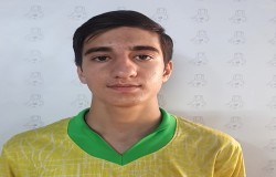 علی فرسویان