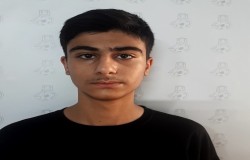 پرهام امین پویا