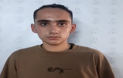 سینا غانمیان