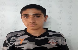 محمد امین بابایی