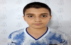 آروین کرمی