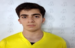 آروین دولتیان