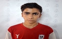 امیرمحمد باغچقی