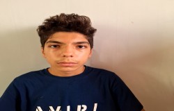 آریا دیبا