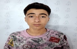 شایان احمدی نیا