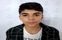 ایلیا منتظری قهجاورستانی