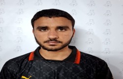 محمد عالی پور