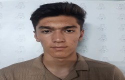 امیر محمد پاشاپور