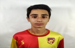 آراد رجبی
