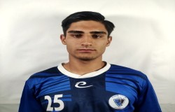 محمد مهدی جریانی