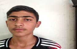 سید آریا سپاسه