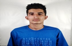 آرین حسنی