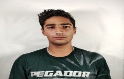 متین نامدار گل خطی