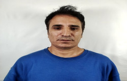 داود علی نسب