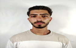 محمدحسین محمدی