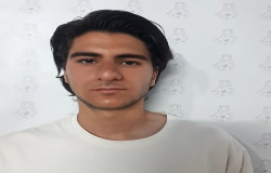 ایلیا دروکی