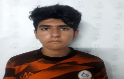 علیرضا محمدی