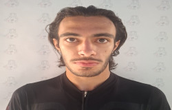 محمد پارسا سعیدی فرد