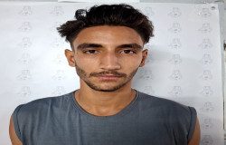 امیر مهدی گل محمدی