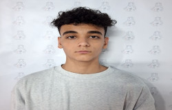 امیر علی مردانی