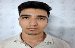 امیرمحمد دلیخون
