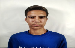 محمد سالار طیبی جمال
