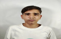 رضا ملک محمدی