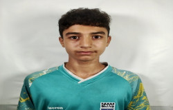 کوروش شاهی