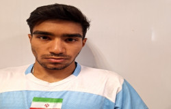 محمد شمس الدینی