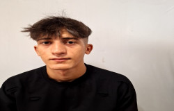 حمید شاهرخی موگوئی
