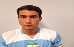 ايليا سبزواري