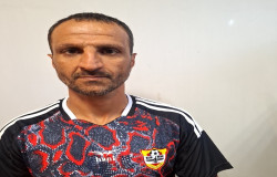 فرزاد زینلی