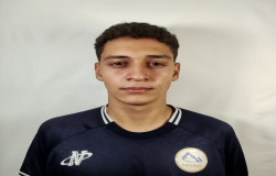 محمد رضا افقی
