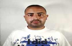 محمدجواد نیاورانی