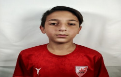 حامی محمودی