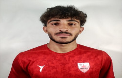محمدمهدی پارسا