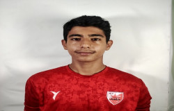 محمد مهدی جمالی