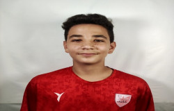 آرین مردانی