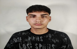 عرشیا کاردان