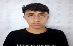 امیر علی سلطان محمدی