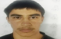 محمد حسام حسنی