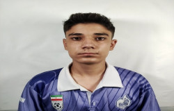 محمد مهدی شیخویسی