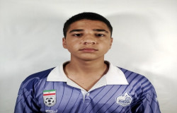 محمد رضا پیر هادی