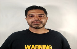 مجتبی استوار