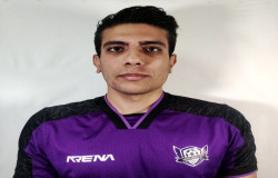 مجتبی سرداری