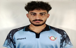 امیر علی روحی