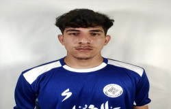 محمد حسین حسنی