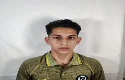 علیرضا فیضی