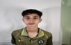 محمدامین برجی زاده